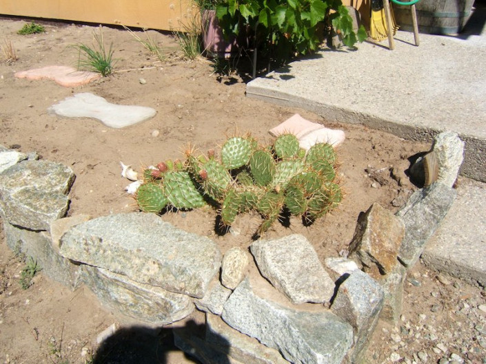 Baergnaescht B&B Osoyoos
