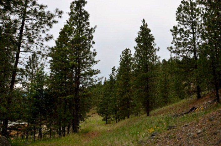 Baergnaescht B&B Osoyoos
