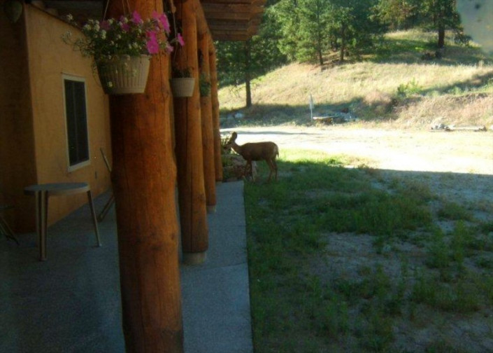Baergnaescht B&B Osoyoos