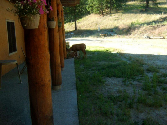 Baergnaescht B&B Osoyoos