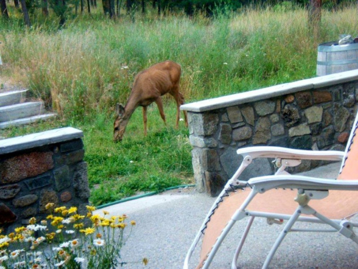 Baergnaescht B&B Osoyoos